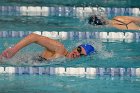 Women's Swimming & Diving  Wheaton College Women’s Swimming & Diving vs Mount Holyoke College. - Photo by Keith Nordstrom : Wheaton, Swimming & Diving